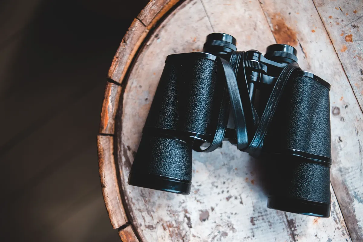 Binoculars for Beginners: How to Choose Your First Pair